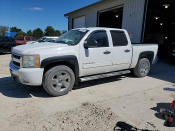  Salvage Chevrolet Silverado