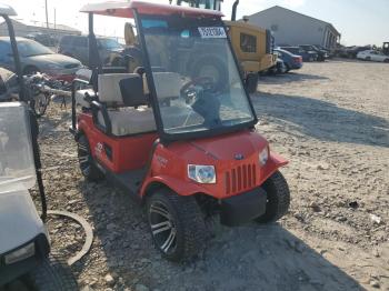  Salvage Tomb Golf Cart