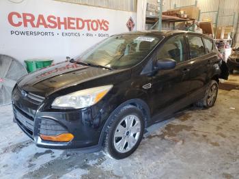  Salvage Ford Escape