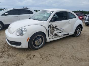  Salvage Volkswagen Beetle