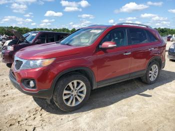  Salvage Kia Sorento