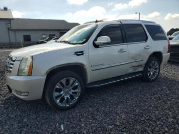  Salvage Cadillac Escalade