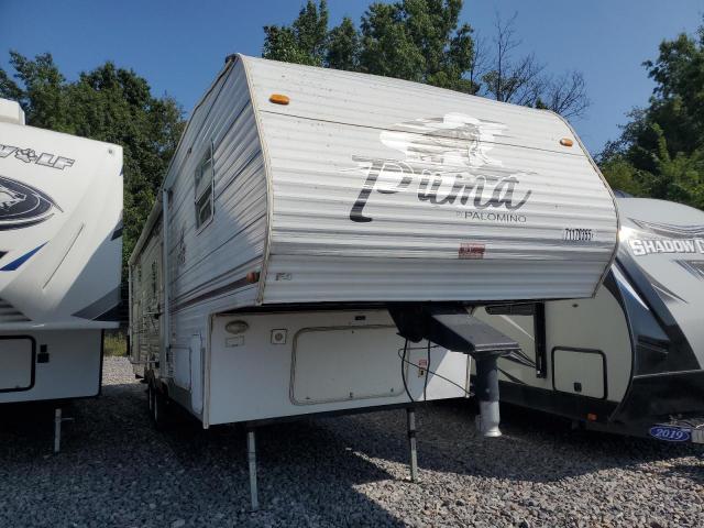  Salvage Wildwood Palomino