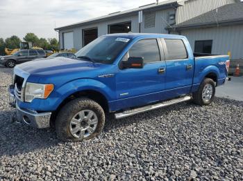  Salvage Ford F-150