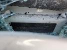 BMW 5 Series Xi Image 12