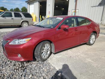  Salvage Lexus Es