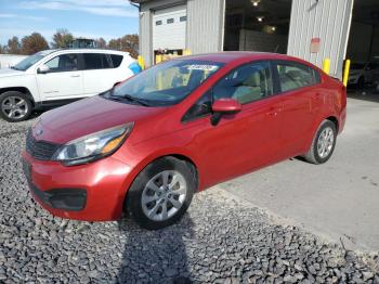  Salvage Kia Rio