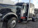 Peterbilt 379 Image 8