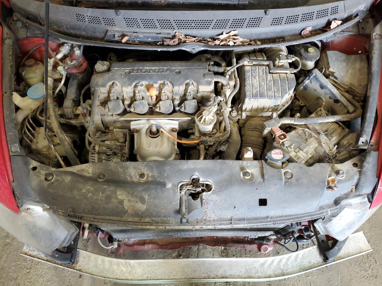 Honda Civic Exl Image 6