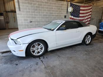  Salvage Ford Mustang
