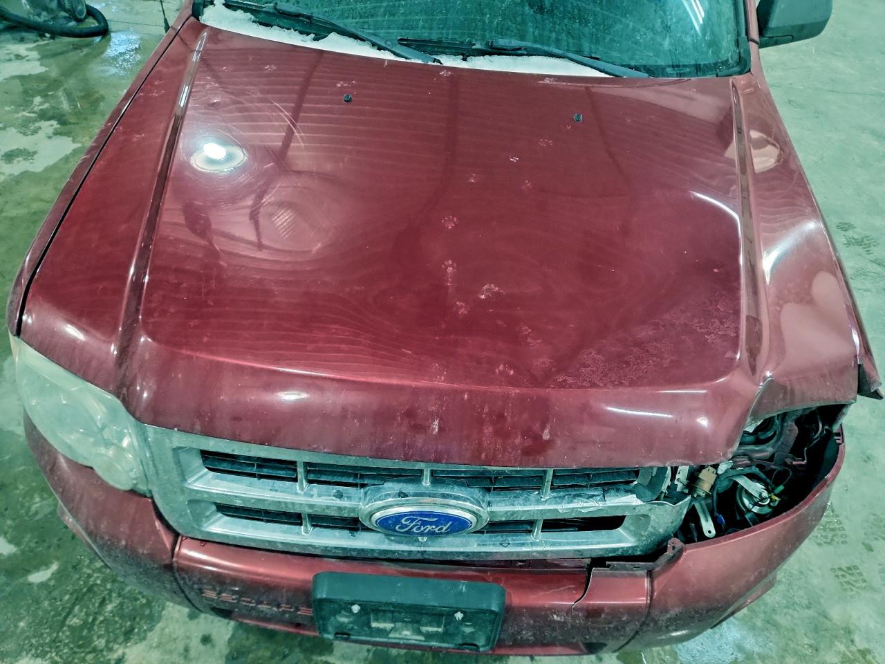 Ford Escape Xlt Image 4