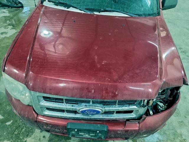 Ford Escape Xlt Image 4