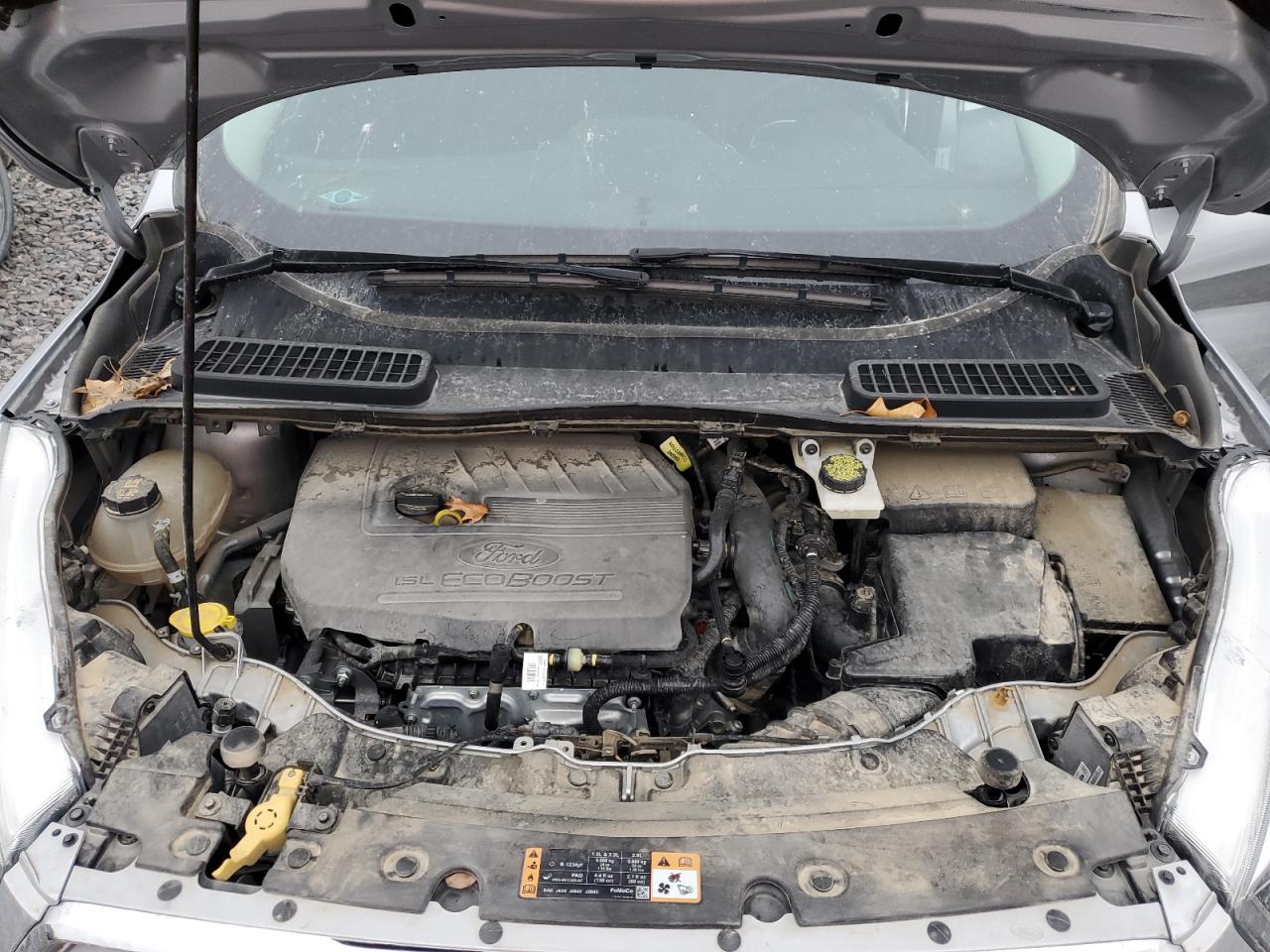 Ford Escape Sel Image 12