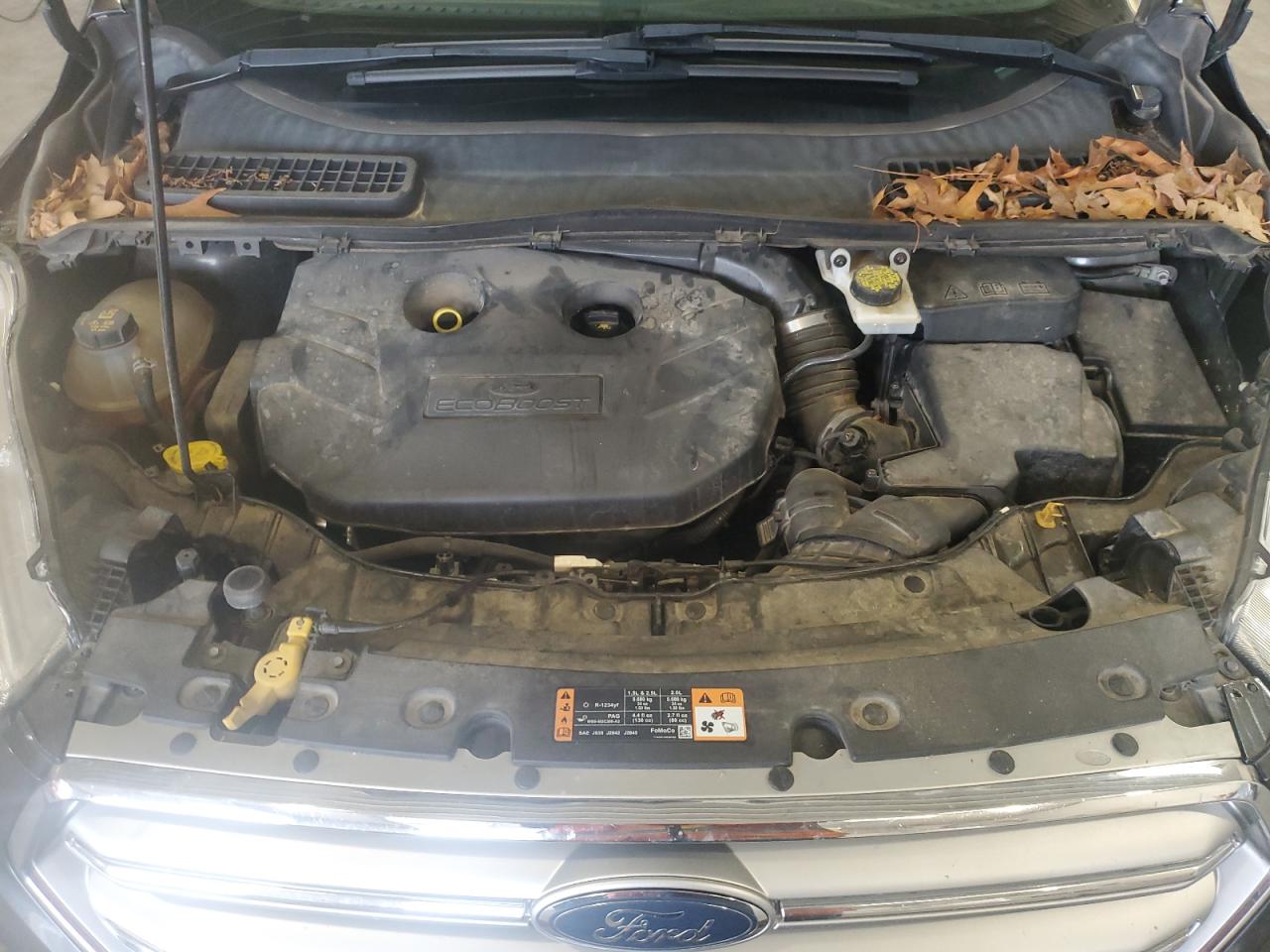 Ford Escape Se Image 8