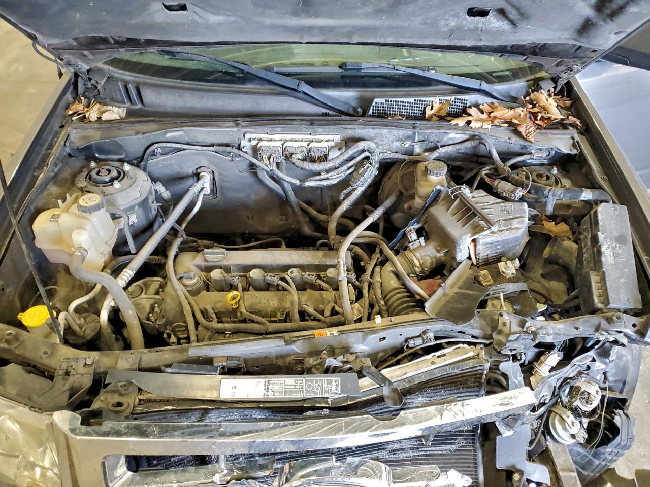 Ford Escape Xlt Image 12