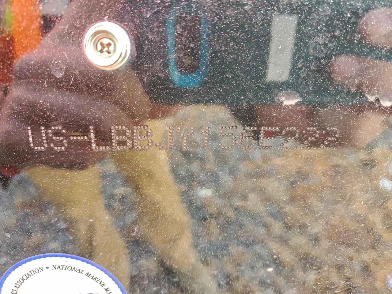 Lund Boat W Trl Image 2