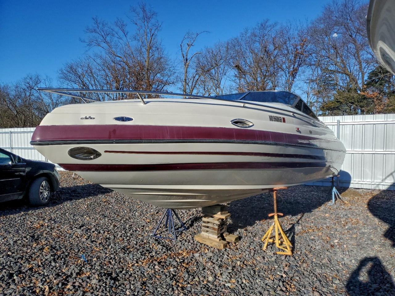 Mariah Shabah Image 7