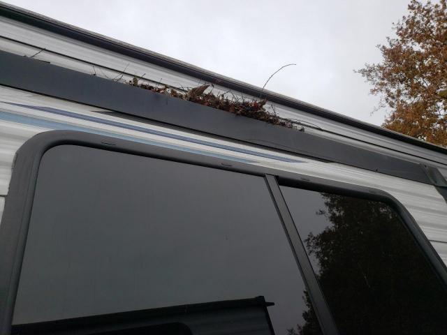 Springdale  Sprinter Travel Trl Image 10